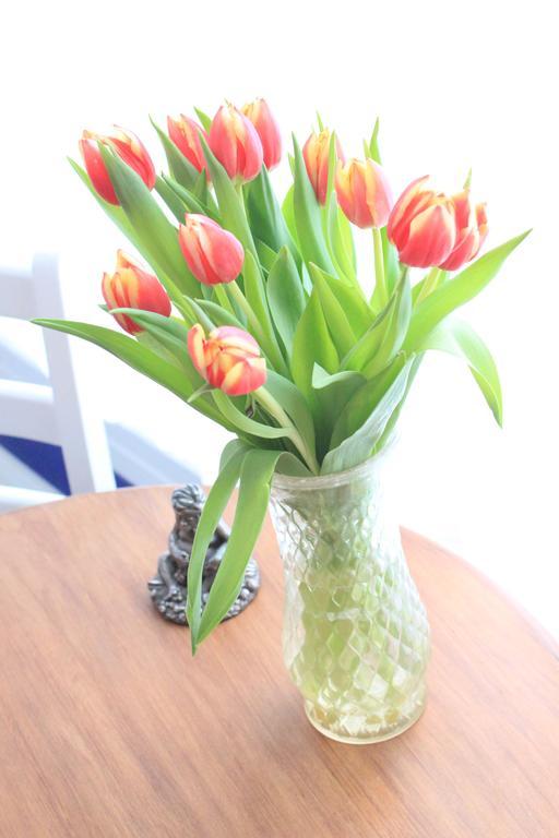 Bed and Breakfast Tulip Of Amsterdam Pokoj fotografie