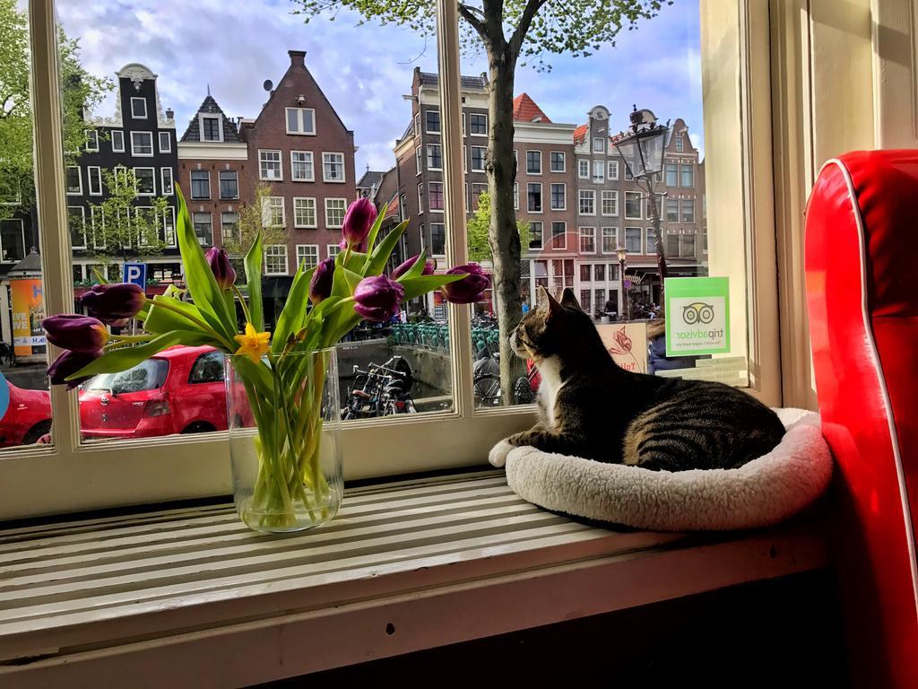Bed and Breakfast Tulip Of Amsterdam Exteriér fotografie